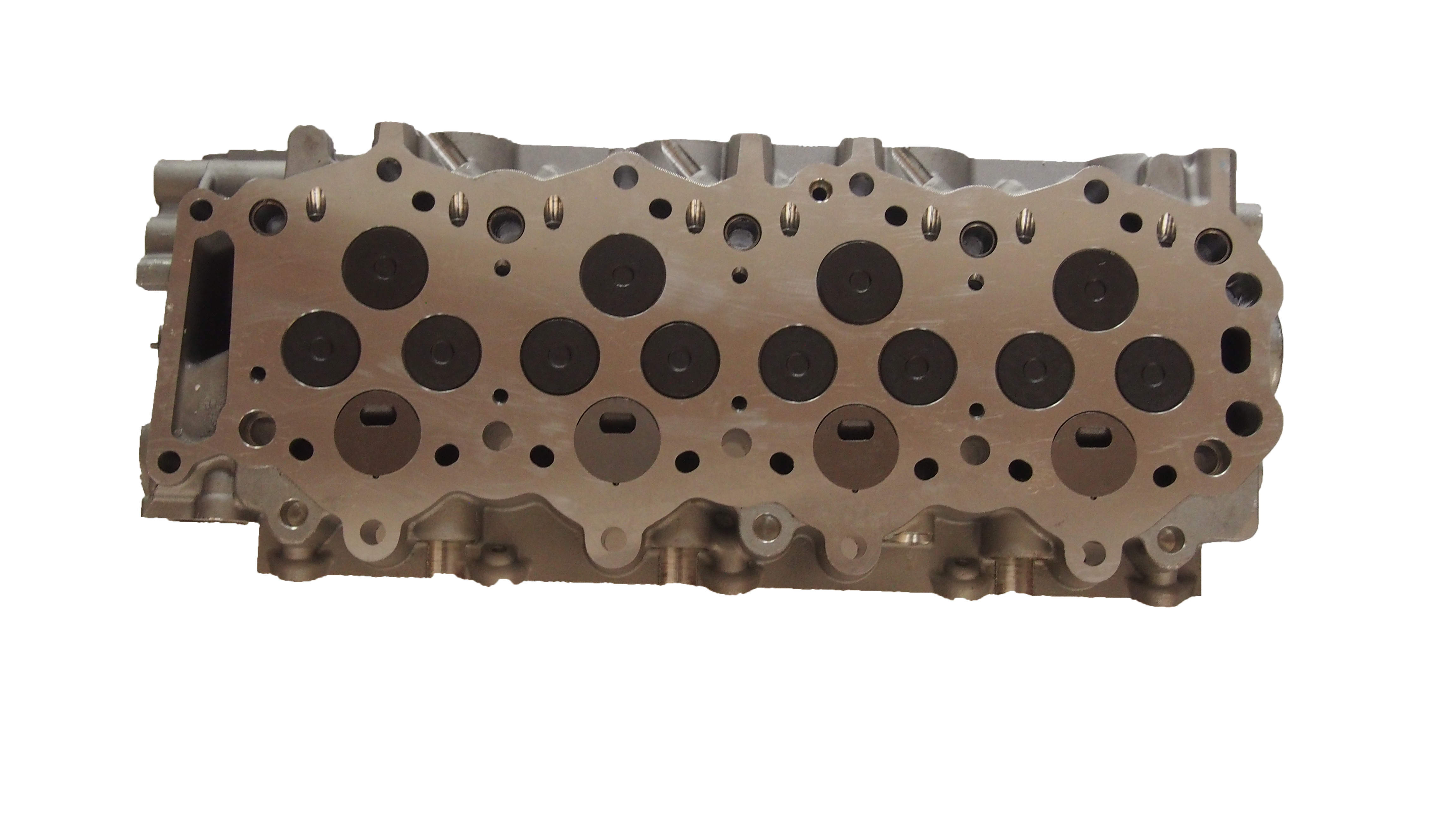 WL Cylinder Head Assy